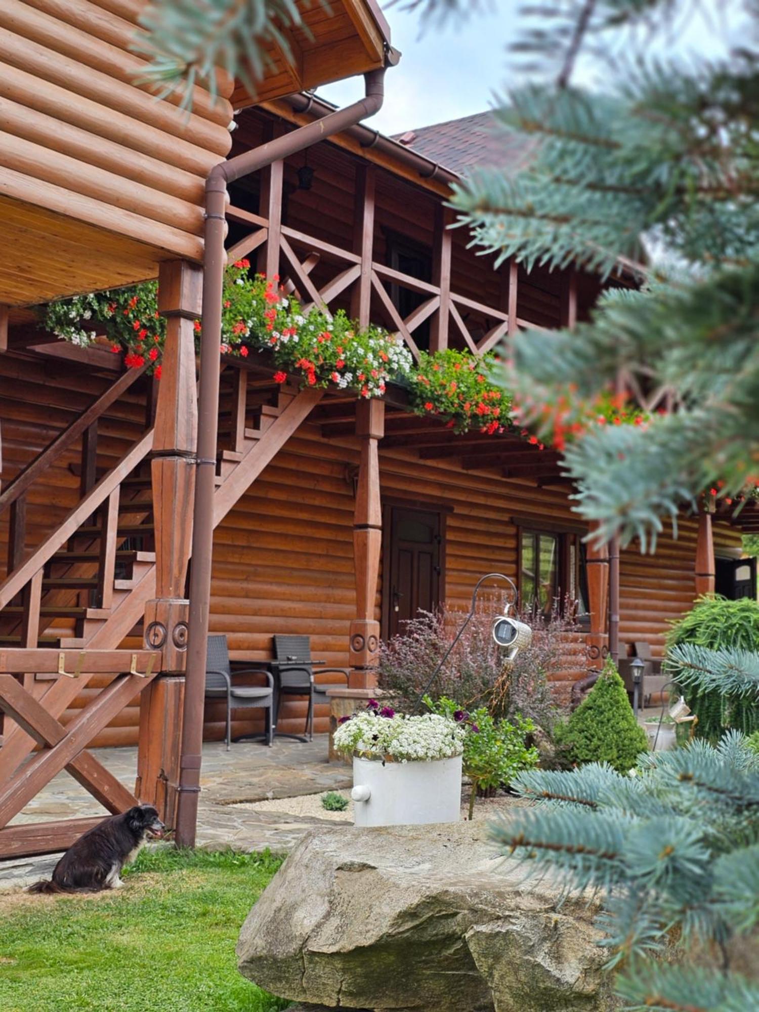Guesthouse Kolo Druziv Tatariv Dış mekan fotoğraf